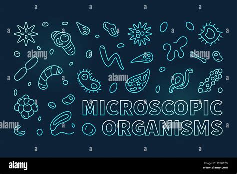 Microscopic Organisms Vector Microbiology Concept Thin Line Blue