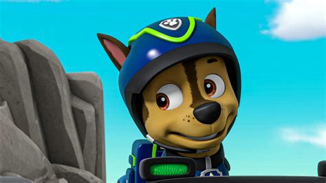 Paw Patrol Pups Save A Kooky Climber