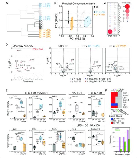 Valproic Acid Attenuates Pro Inflammatory Cytokine Responses From