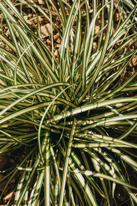 The ulta work benefits perk that salon workers love most 9