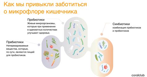 Метабиотики — Teletype