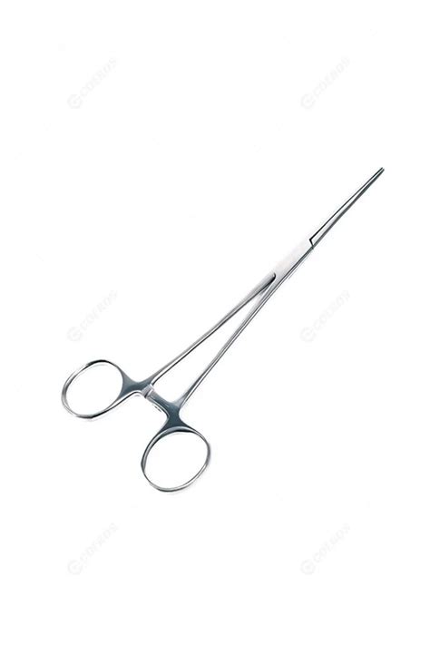 Sex Doll Cleaning Zlovedoll