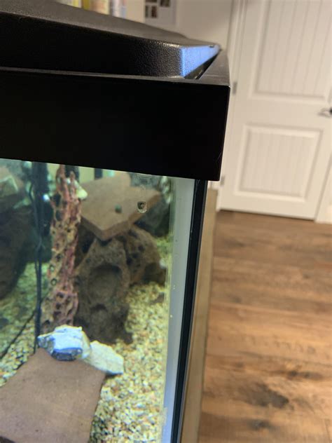 Leak? More in comments : r/Aquariums