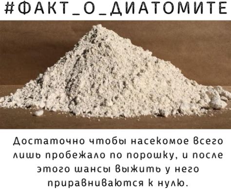 Диатомит садовый. Свойства и применение, цена, отзывы