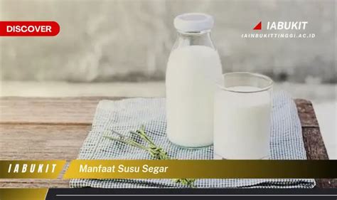 intip  manfaat susu segar  wajib kamu tahu discover