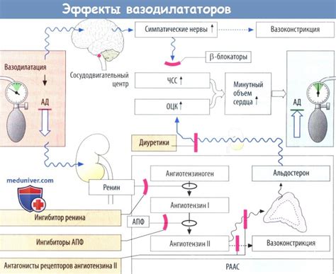 Лекарства для расширения сосудов
