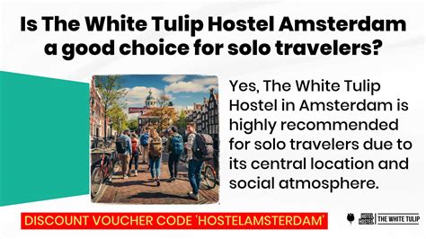 Is The White Tulip Hostel Amsterdam A Good Choice For Solo Travelers