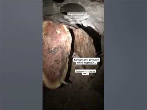 Мясо Копальхен - смертельный яд для туристов - YouTube