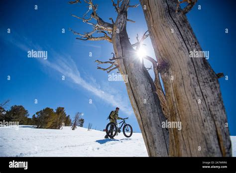 Fat Tire Biking Snow Stock Photo Alamy
