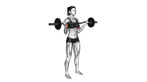 EZ Barbell Standing Wide Grip Biceps Curl Female Video Guide Tips