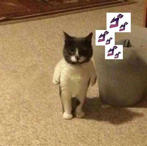 Menacing Cat Shitpostcrusaders