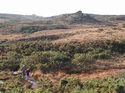 Dorset Group 28 Nov 19 Godlingston Heath And The Purbeck Forest Gay Outdoor Club