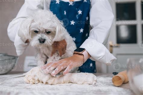 Woman in the kitchen kneads the dough with her dog 15497213 Stock Photo