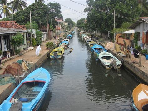 A Boat Ride in Hamilton Canal | The Adventure Travel Site