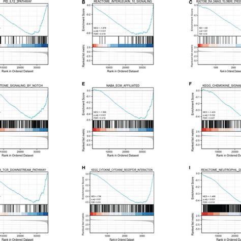 Enrichment Plots From The Gene Set Enrichment Analysis Gsea A Il12