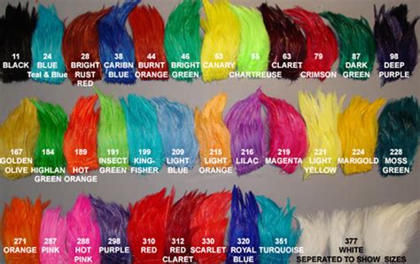 Chinese Neck Hackle – FeathersMC