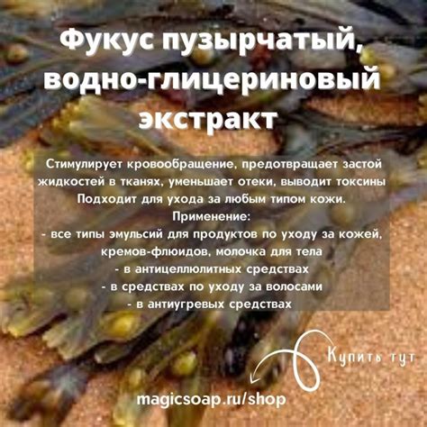 Фукус пузырчатый, водно-глицериновый экстракт (ECOCERT)