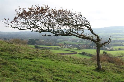 Dorset Group Nov Purbeck Ridge Creech Hill To Corfe Castle Circuit Gay Outdoor Club