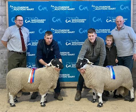 This is a complete breakdown of the Willoughby sheep sales 6
