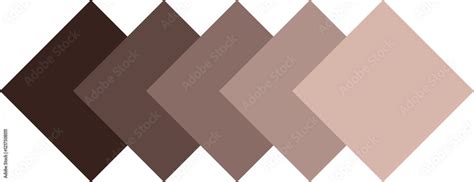 Nude Color Palette Nude Swatches Stock Vector Adobe Stock