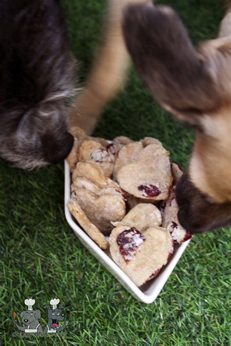 chicken with pear and cranberries - Doggy Dessert Chef
