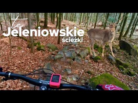 Obczajam Jeleniowskie Cie Ki Pierwszy Raz Na Miejsc Wce Enduro Trail