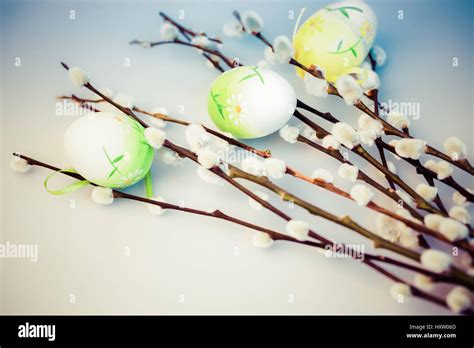 Pussy Willow And Easter Eggs Stock Photo Alamy