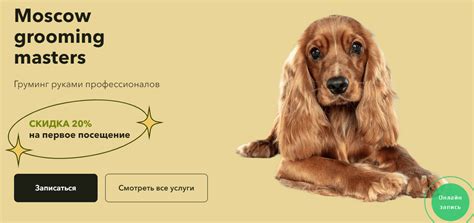 Реклама услуг: что это такое, для чего нужна | Unisender