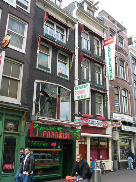 Coffeeshop Paradise in Amsterdam