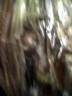 I Enjoy Fucking Banana Tree Gay Amateur Amateur Porn Feat Parwch Xhamster