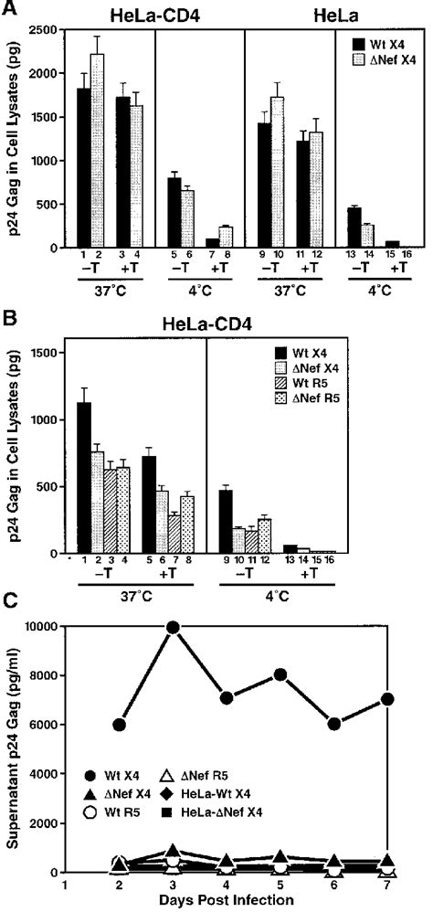 Analysis Of Binding Entry And Replication Of CXCR4 And CCR5 Tropic