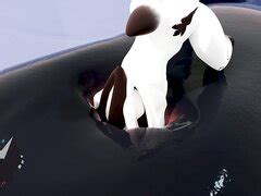Favorite Anal Vore Deep In An Orca Hole ANAL ThisVid