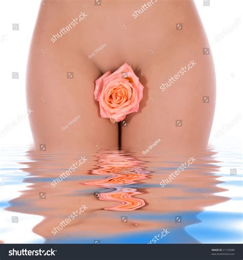 Nude Girl On White Background Stock Photo Shutterstock