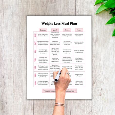 Weight Loss Meal Plan, Meal Plan Weightloss, Weight Loss, Meal Planner