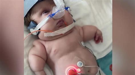 Sex And The City Star Chris Noth Vom Einstigen Sex Symbol Ist Nicht Mehr Viel Brig