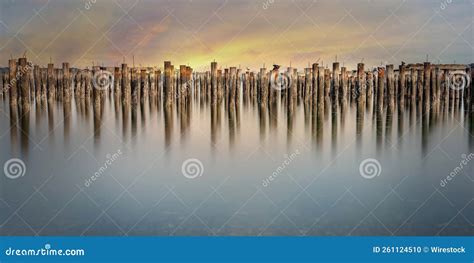 Old Pilings At Titlow Beach Tacoma Washington Stock Photo Image Of