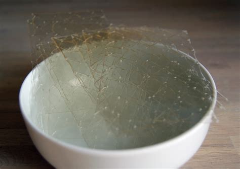 File:Gelatine.png - Wikimedia Commons