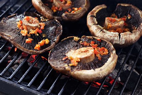 Альтернативный гриль