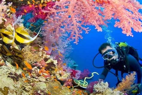 Hurghada Snorkeling Trip To Giftun Island Tripadvisor