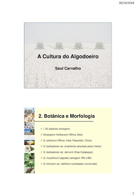 PDF A Cultura do Algodoeiro saulcarvalho br 2 Botânica e