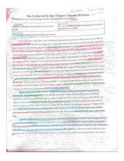 The Catcher In The Rye Annotations