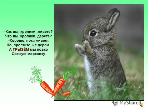 Презентация на тему: "Как живете? Владимир Степанов -Кони, кони, как ...