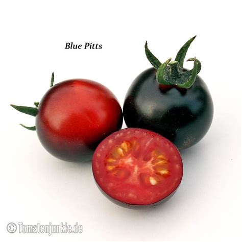 Blue Pitts • Sortenbeschreibung