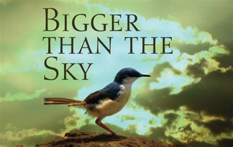 Bigger Than The Sky A Radical Awakening Help For Higher Healing