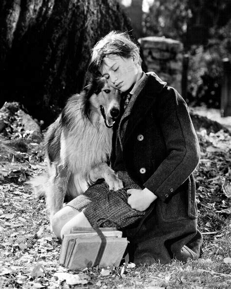 Lassie Come Home 1943