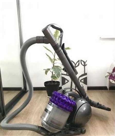 Пылесос Dyson DC52 Allergy Musclehead Parquet | Festima.Ru – частные ...