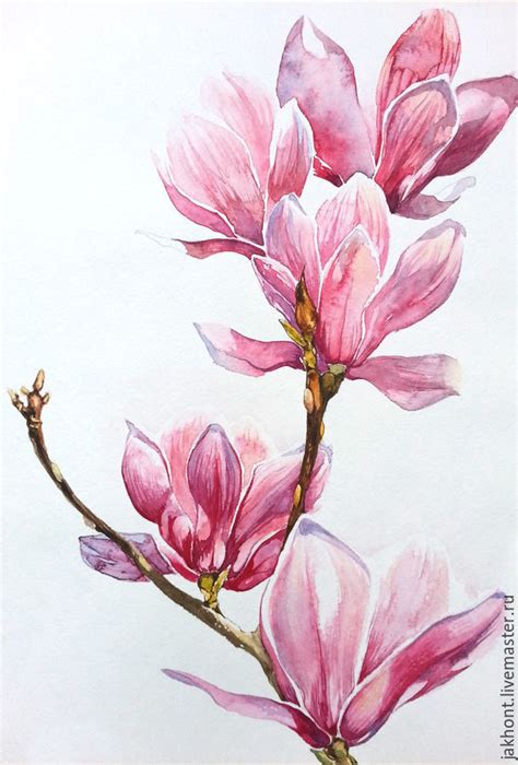 Magnolia Watercolor at GetDrawings | Free download