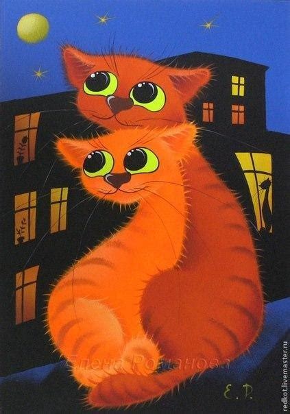 Подборка петербургских котиков. А как выглядят ваши питомцы ...