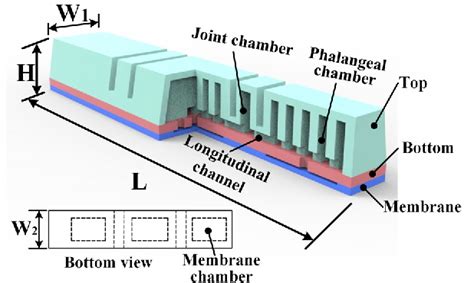 Figure From Design And Experimental Evaluation Of A Bionic Two Joint