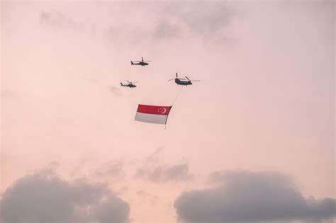 The Crocodile Sex Frenzy Caused By Helicopters Great Big Story